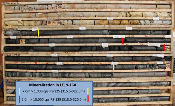 LE19-16A Core Photo